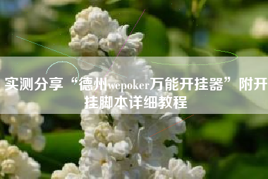 实测分享“德州wepoker万能开挂器”附开挂脚本详细教程