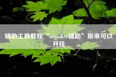 辅助工具教程“wepoKer辅助”原来可以开挂