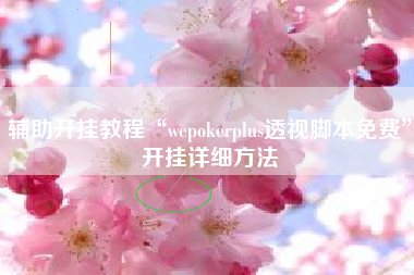 辅助开挂教程“wepokerplus透视脚本免费”开挂详细方法