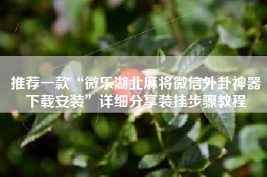 推荐一款“微乐湖北麻将微信外卦神器下载安装”详细分享装挂步骤教程
