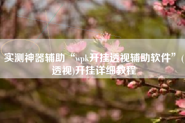 实测神器辅助“wpk开挂透视辅助软件”(透视)开挂详细教程