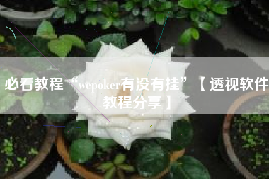 必看教程“wepoker有没有挂”【透视软件教程分享】
