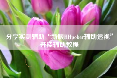 分享实测辅助“新版HHpoker辅助透视”开挂辅助教程