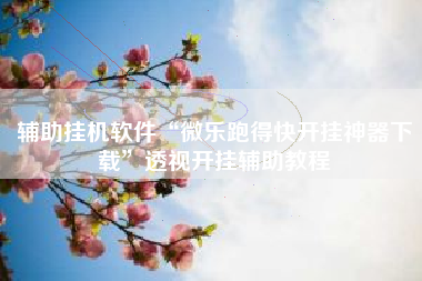 辅助挂机软件“微乐跑得快开挂神器下载	”透视开挂辅助教程