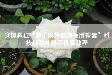 实操教程“微乐麻将透视专用神器”科技辅助神器手机版教程