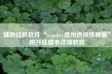 辅助挂机软件“wepoker德州透视挂被骗”附开挂脚本详细教程