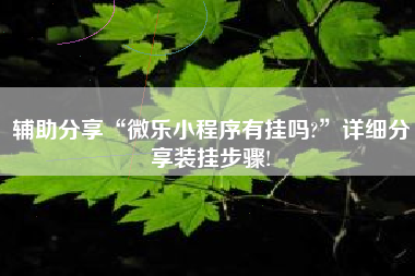 辅助分享“微乐小程序有挂吗?”详细分享装挂步骤!