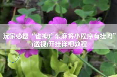 玩家必搜“雀神广东麻将小程序有挂吗	”(透视)开挂详细教程