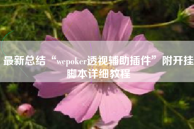最新总结“wepoker透视辅助插件	”附开挂脚本详细教程