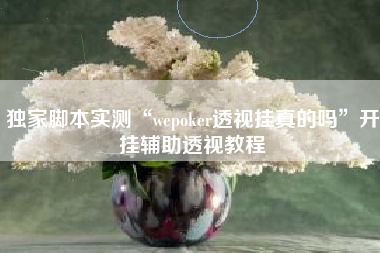 独家脚本实测“wepoker透视挂真的吗”开挂辅助透视教程