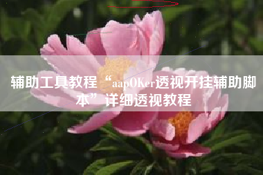 辅助工具教程“aapOKer透视开挂辅助脚本”详细透视教程