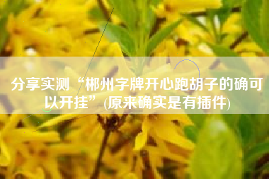 分享实测“郴州字牌开心跑胡子的确可以开挂”(原来确实是有插件)