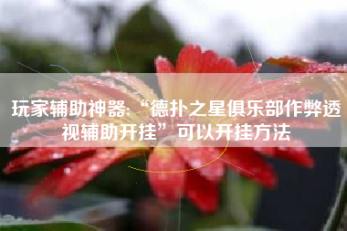 玩家辅助神器:“德扑之星俱乐部作弊透视辅助开挂”可以开挂方法