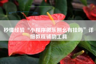 秒懂经验“小程序微乐刨幺有挂吗”详细教程辅助工具