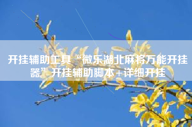开挂辅助工具“微乐湖北麻将万能开挂器	”开挂辅助脚本+详细开挂