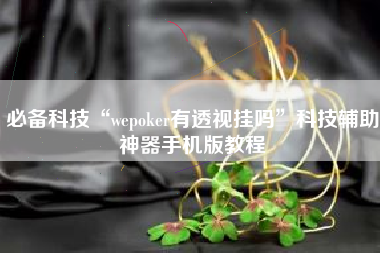 必备科技“wepoker有透视挂吗”科技辅助神器手机版教程