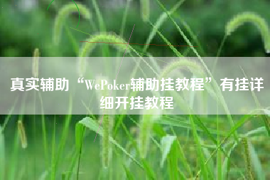 真实辅助“WePoker辅助挂教程	”有挂详细开挂教程