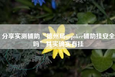 分享实测辅助“德州局wepoker辅助挂安全吗	”其实确实有挂