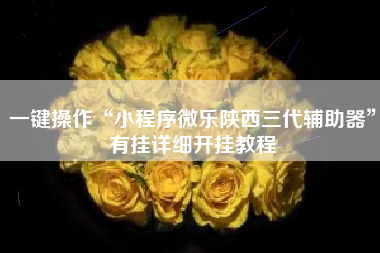 一键操作“小程序微乐陕西三代辅助器”有挂详细开挂教程