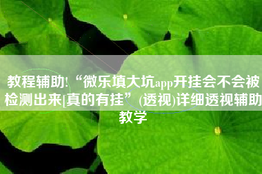 教程辅助!“微乐填大坑app开挂会不会被检测出来[真的有挂”(透视)详细透视辅助教学