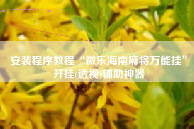 安装程序教程“微乐海南麻将万能挂”开挂(透视)辅助神器