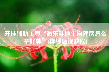 开挂辅助工具“微乐斗地主自建房怎么拿好牌”(详细透视教程)