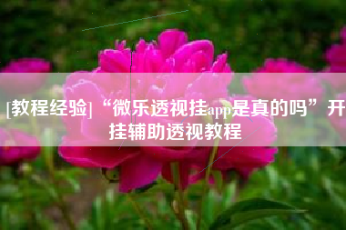 [教程经验]“微乐透视挂app是真的吗	”开挂辅助透视教程