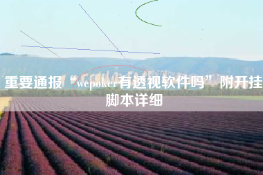 重要通报“wepoker有透视软件吗	”附开挂脚本详细