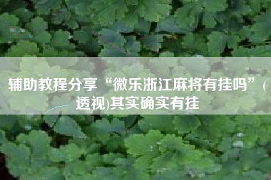 辅助教程分享“微乐浙江麻将有挂吗”(透视)其实确实有挂