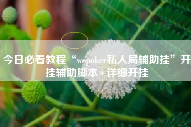 今日必看教程“wepoker私人局辅助挂”开挂辅助脚本+详细开挂