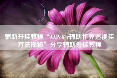 辅助开挂教程“AAPoker辅助作弊透视挂方法揭秘	”分享辅助外挂教程