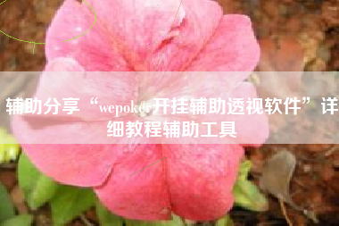 辅助分享“wepoker开挂辅助透视软件	”详细教程辅助工具