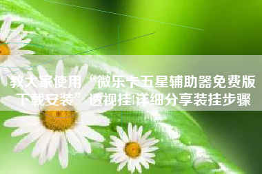 教大家使用“微乐卡五星辅助器免费版下载安装”透视挂!详细分享装挂步骤