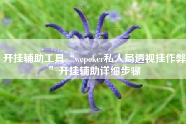 开挂辅助工具“wepoker私人局透视挂作弊”开挂辅助详细步骤