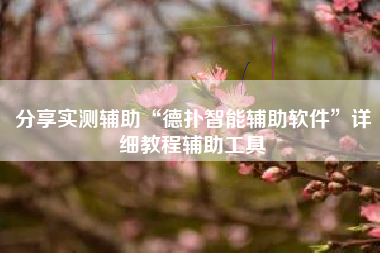 分享实测辅助“德扑智能辅助软件”详细教程辅助工具