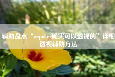 辅助盘点“wepoker确实可以透视的”详细透视辅助方法