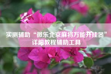 实测辅助“微乐北京麻将万能开挂器	”详细教程辅助工具