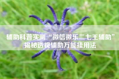辅助科普实测“微信微乐二七王辅助”揭秘透视辅助万能挂用法