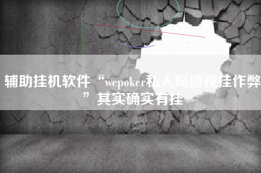 辅助挂机软件“wepoker私人局透视挂作弊”其实确实有挂