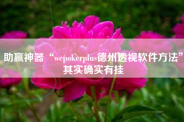 助赢神器“wepokerplus德州透视软件方法	”其实确实有挂