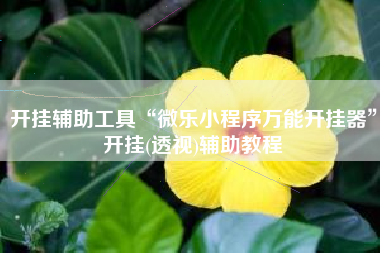 开挂辅助工具“微乐小程序万能开挂器”开挂(透视)辅助教程