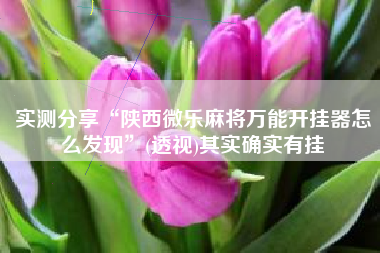 实测分享“陕西微乐麻将万能开挂器怎么发现	”(透视)其实确实有挂