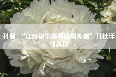 科普|“江苏微乐麻将必赢神器”开挂详细教程