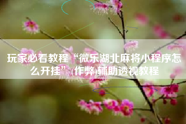 玩家必看教程“微乐湖北麻将小程序怎么开挂	”(作弊)辅助透视教程