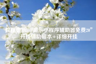 教程更新!“微乐小程序辅助器免费20	”开挂辅助脚本+详细开挂