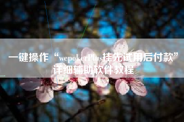 一键操作“wepokerPlus挂先试用后付款	”详细辅助软件教程