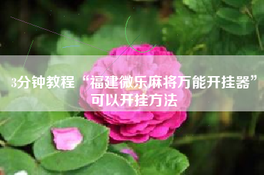 3分钟教程“福建微乐麻将万能开挂器”可以开挂方法