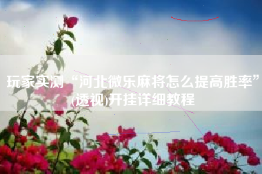 玩家实测“河北微乐麻将怎么提高胜率”(透视)开挂详细教程