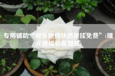 专用辅助“微乐跑得快透视挂免费	”(曝光透视必备猫腻)