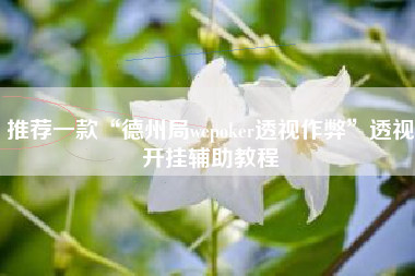 推荐一款“德州局wepoker透视作弊	”透视开挂辅助教程